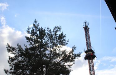 Free fall